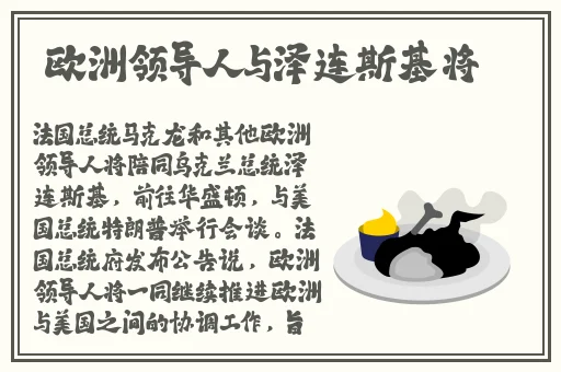 兔子先生爸气十足ep12在线
